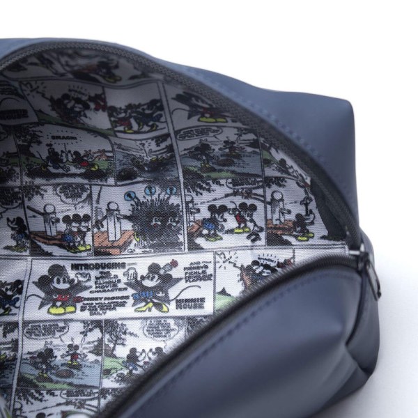 Disney Vanity case