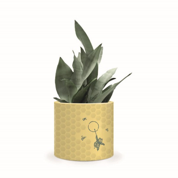 Winnie the Pooh honeycomb flower pot - Disney