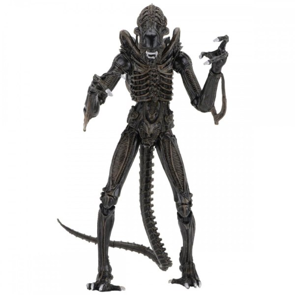 ALIENS - ACTION FIGURE - ULTIMATE ALIENS WARRIORS