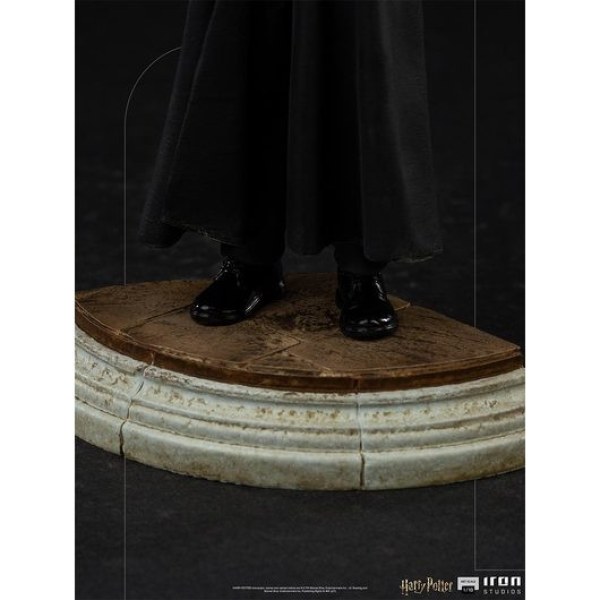 Harry Potter and the Sorcerer's Stone Art Scale - Harry Potter
