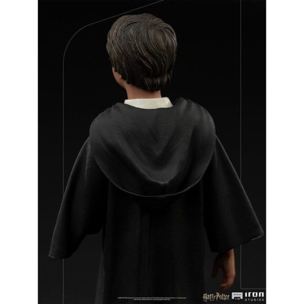 Harry Potter and the Sorcerer's Stone Art Scale - Harry Potter