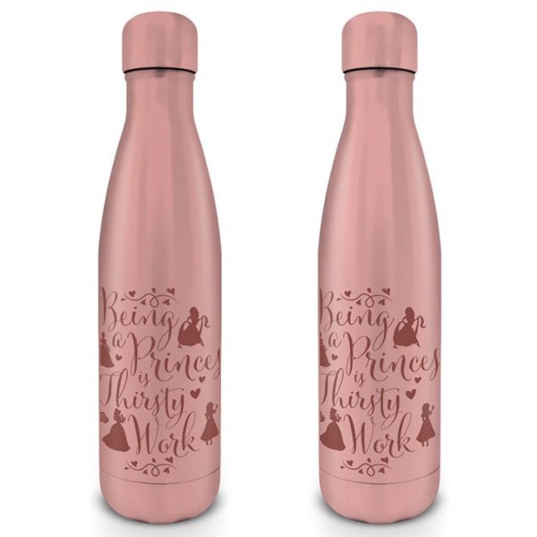 Disney Princess water bottle Thirsty Work