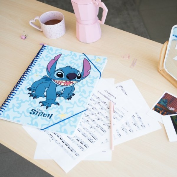 DOOR VIEWS A4 - DISNEY STITCH