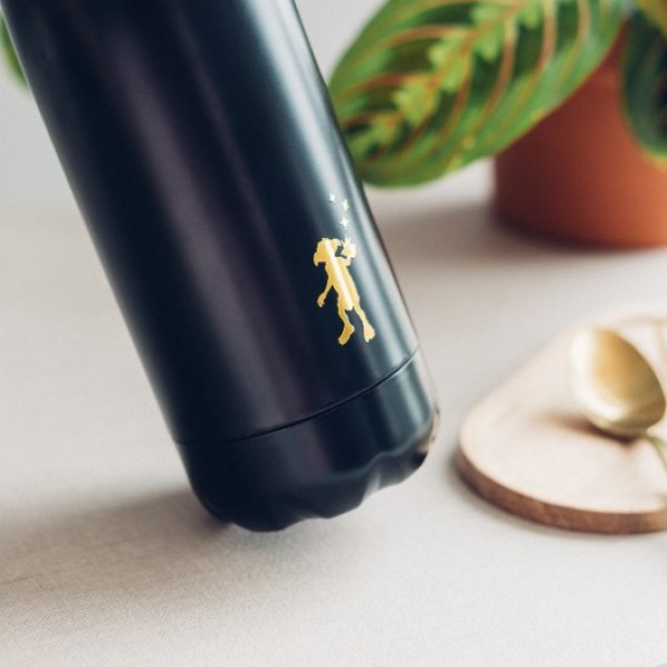 ISOTHERMAL METAL BOTTLE DOBBY - HARRY POTTER