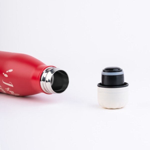ISOTHERMAL METAL BOTTLE - HARRY POTTER