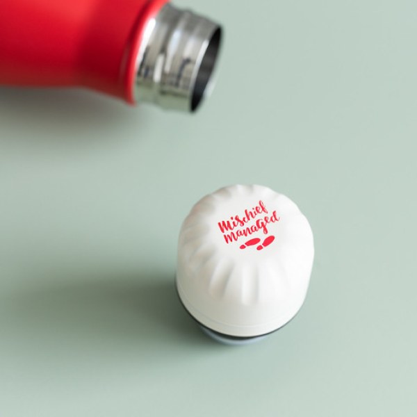 ISOTHERMAL METAL BOTTLE - HARRY POTTER