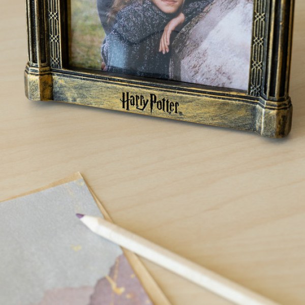 3D PHOTO FRAME - HARRY POTTER