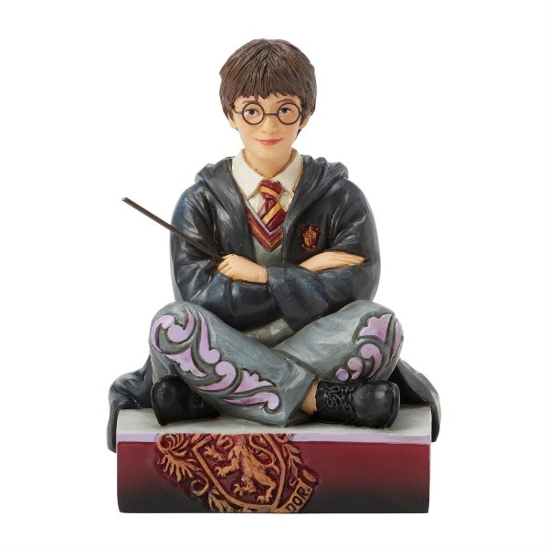 Harry Potter with wand - Harry Potter