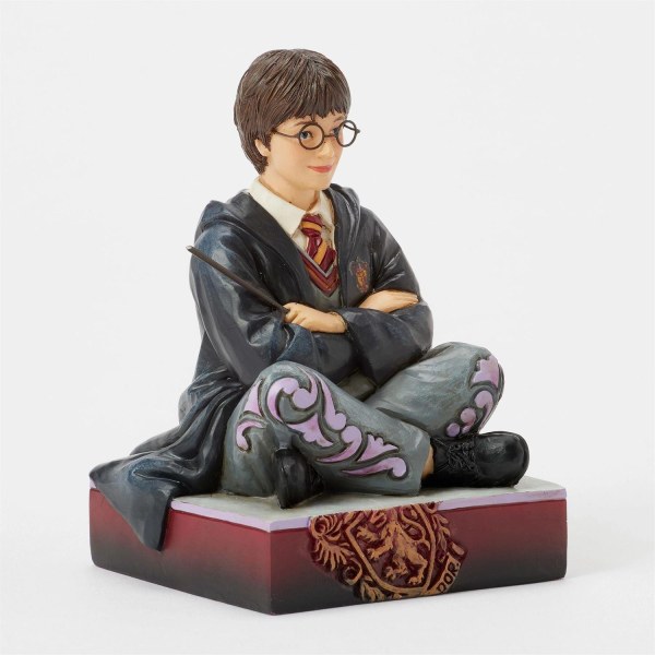 Harry Potter with wand - Harry Potter