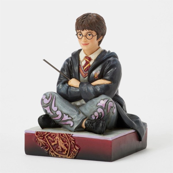 Harry Potter with wand - Harry Potter