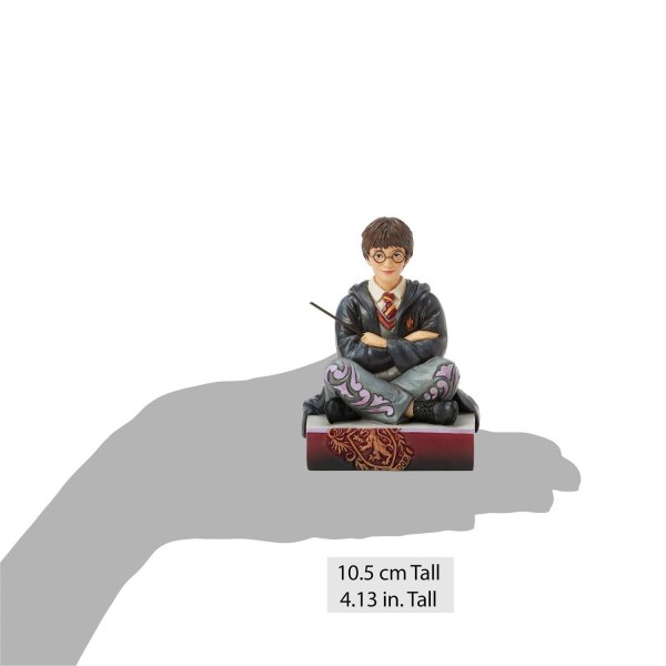 Harry Potter with wand - Harry Potter