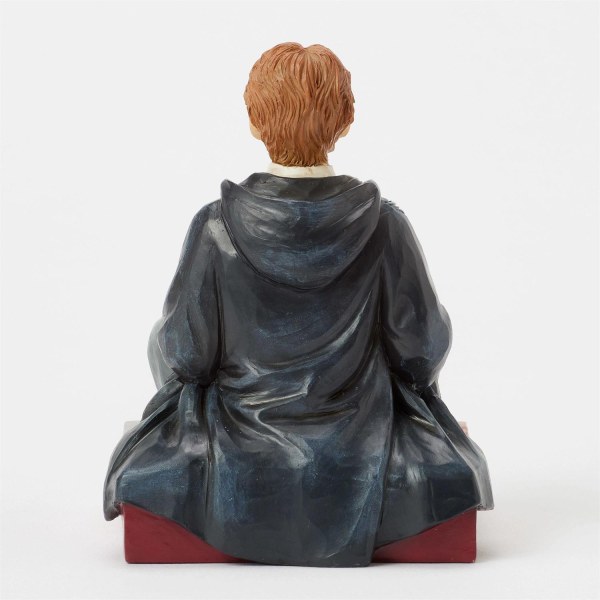 Ron with Scabbers - Harry Potter