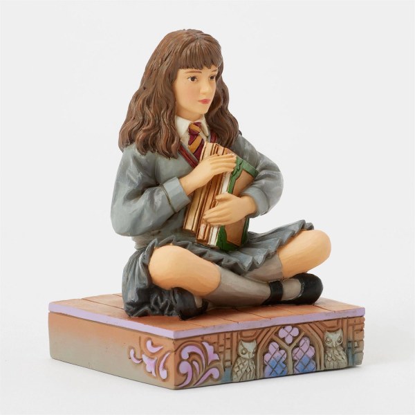 Hermione with Books - Harry Potter