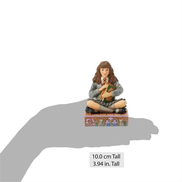 Hermione with Books - Harry Potter