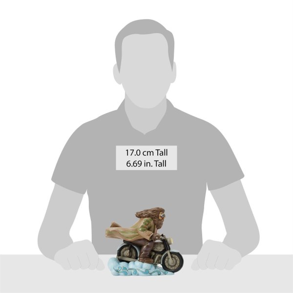Hagrid on motorbike - Harry Potter