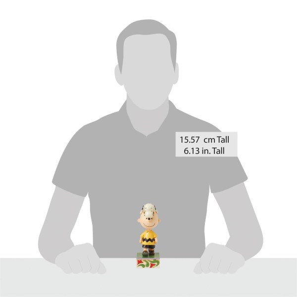 Snoopy on Charlie Brown's head- Peanuts