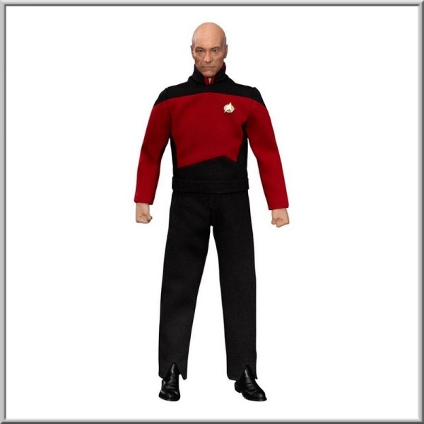 Star Trek: Generations Jean-Luc Picard 8-inch figurine