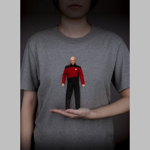 Star Trek: Generations Jean-Luc Picard 8-inch figurine
