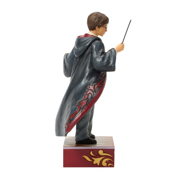 Harry Potter - Harry Potter magical moment