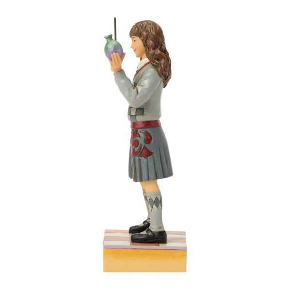 Hermione's potion - Harry Potter