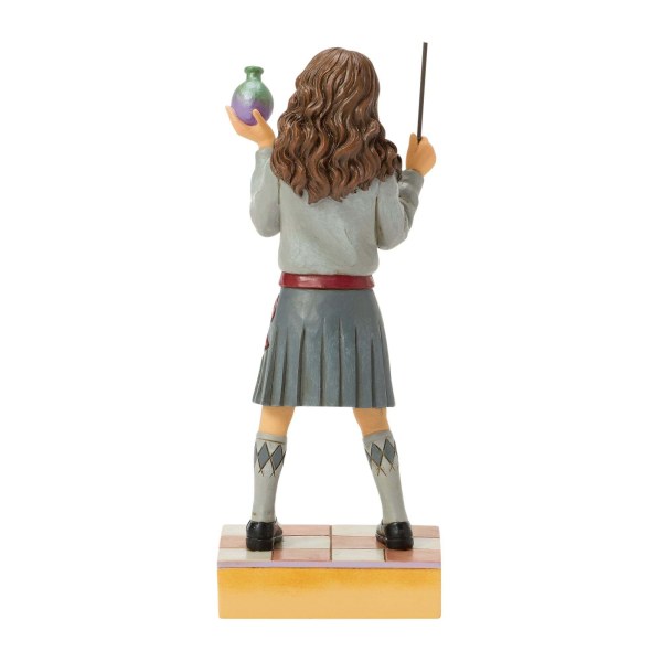 Hermione's potion - Harry Potter
