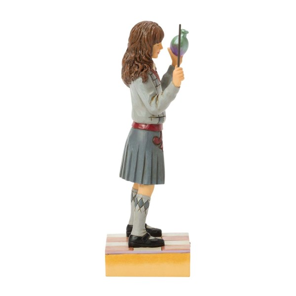Hermione's potion - Harry Potter