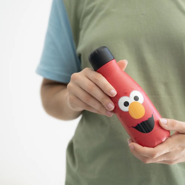 260ml Hot & Cold Insulated Metal Bottle - Sesame Street