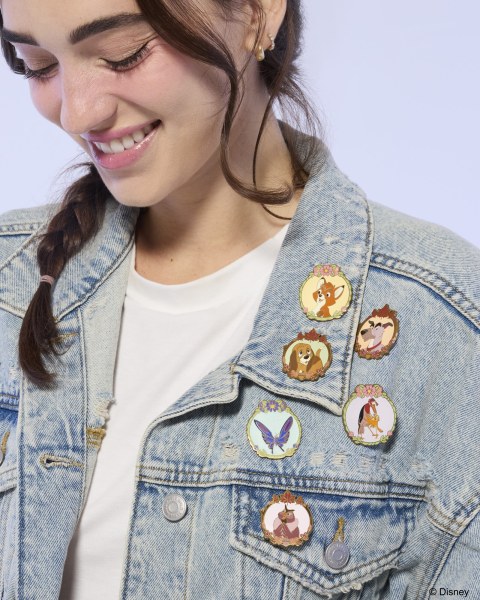The Fox and the Hound mystery box pin - Disney Loungefly