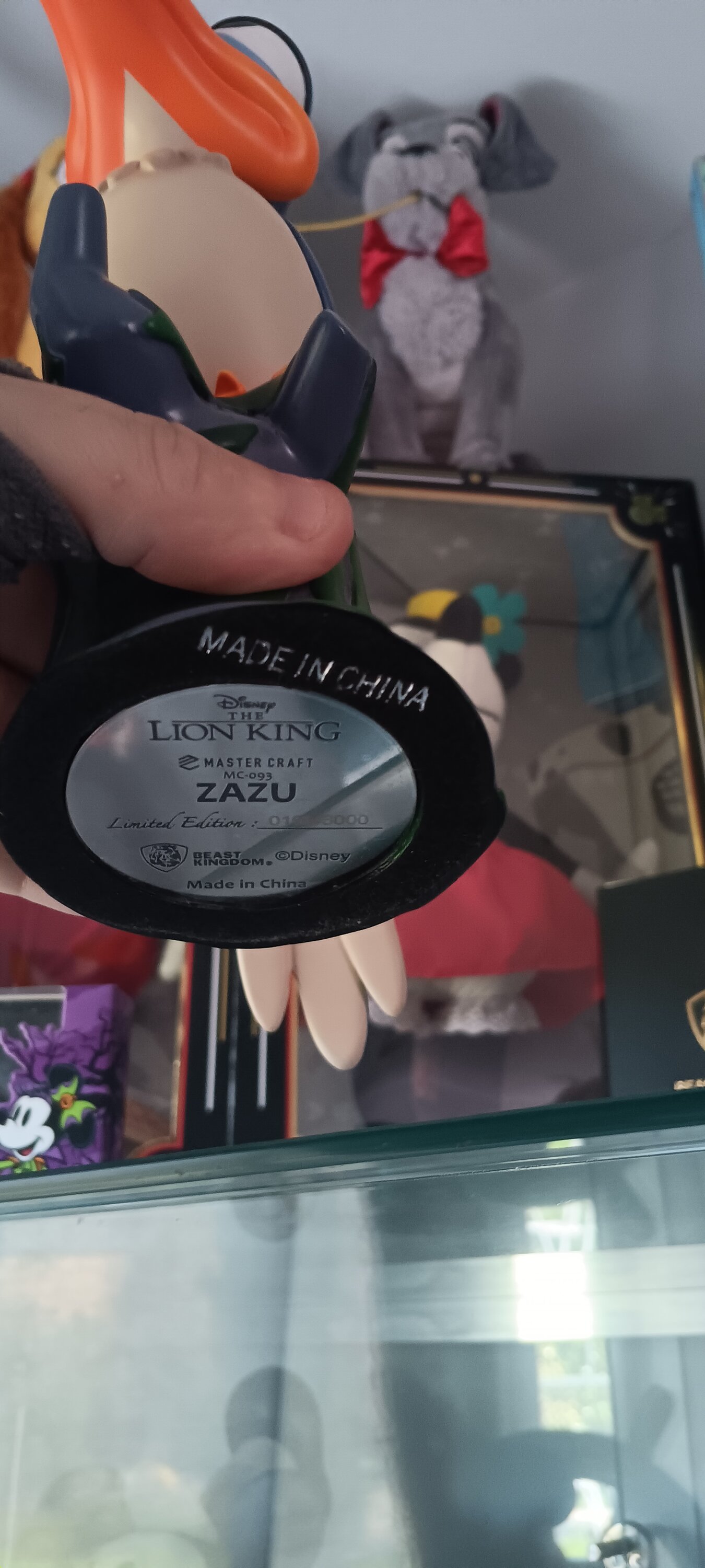 Customer Photo