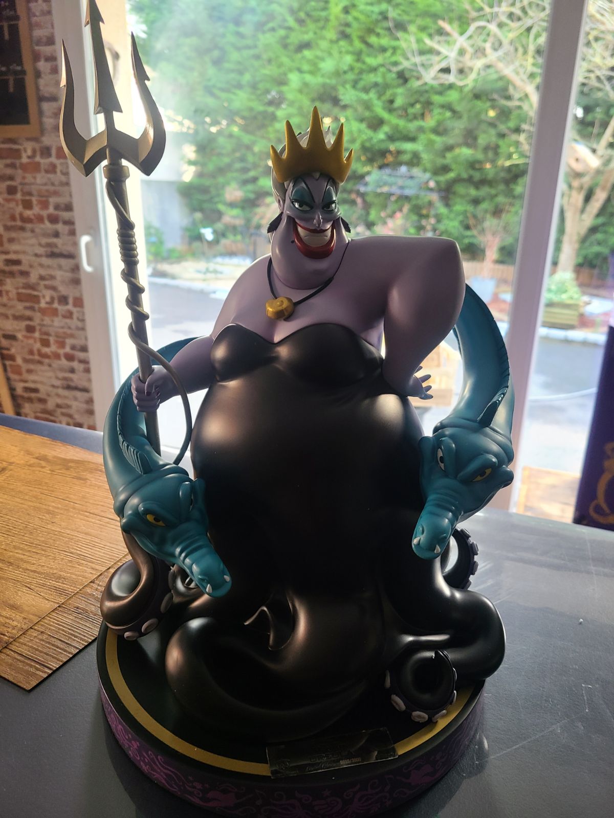 Customer Photo