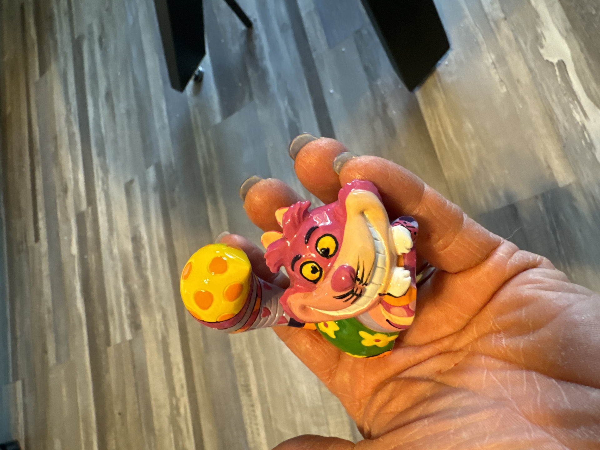 Customer Photo