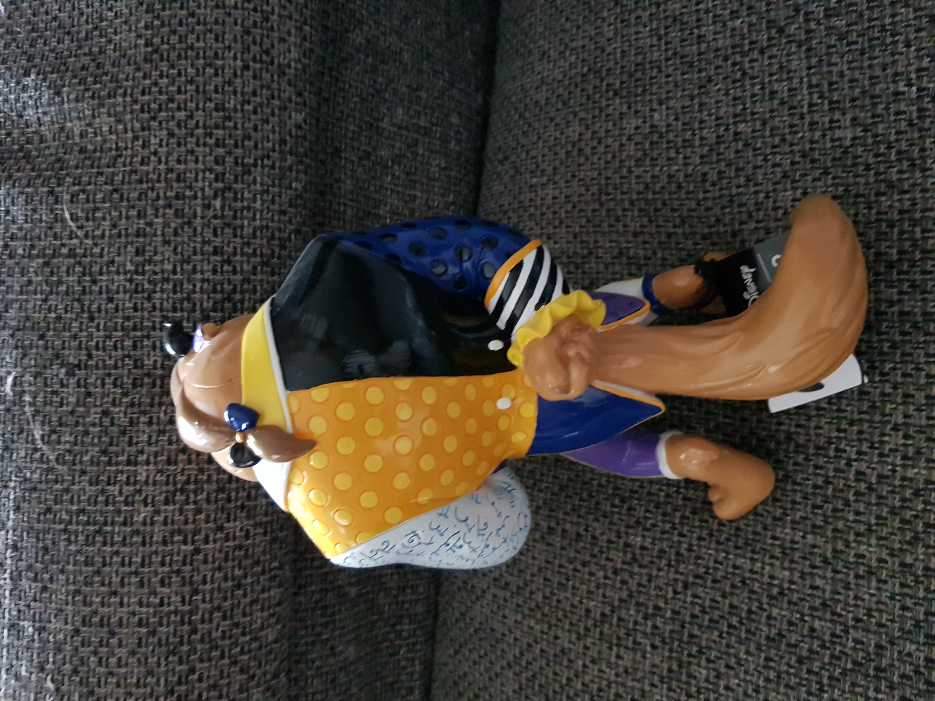 Customer Photo