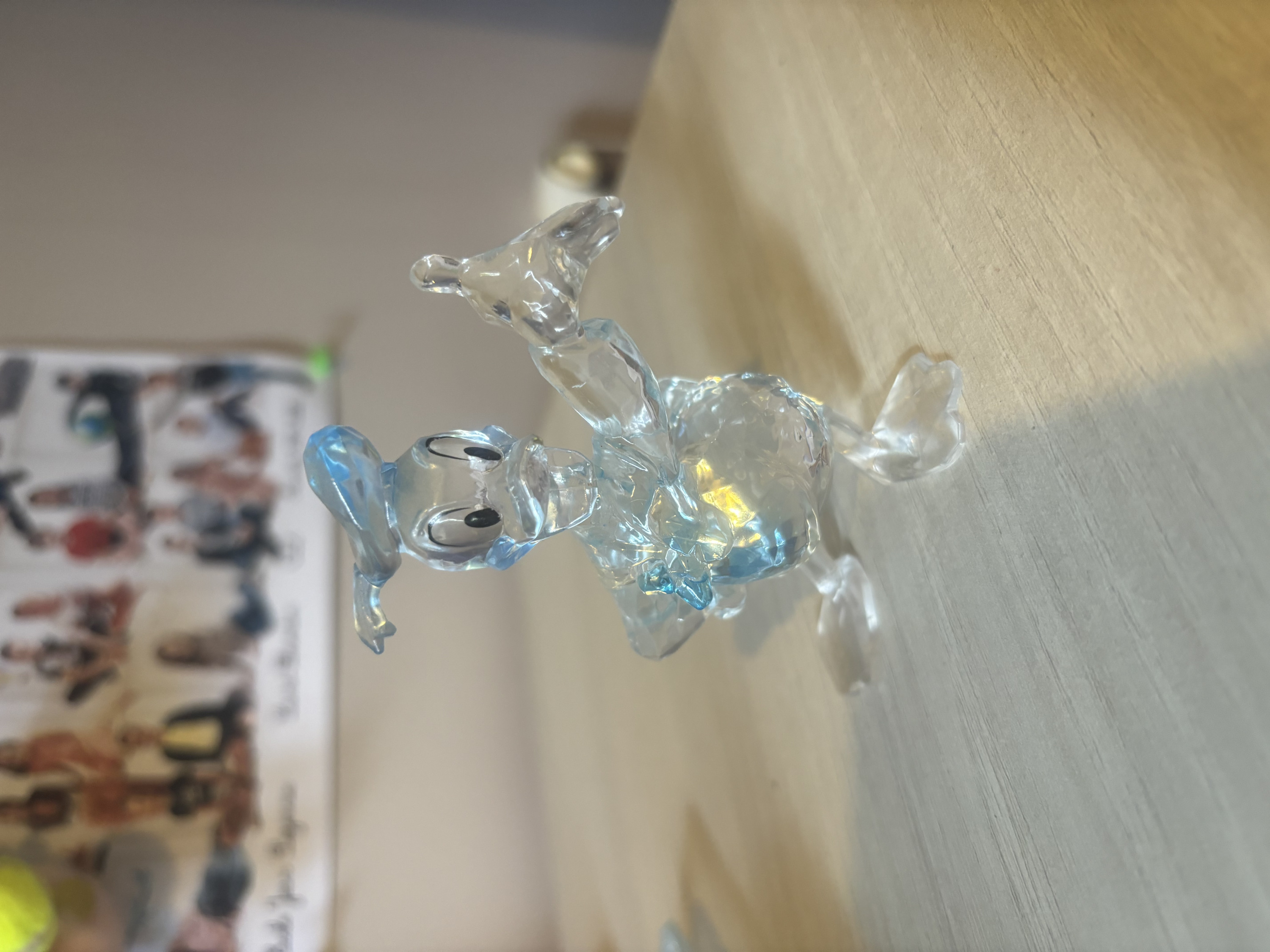 Customer Photo